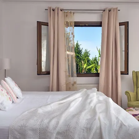Willa Palm Luxury